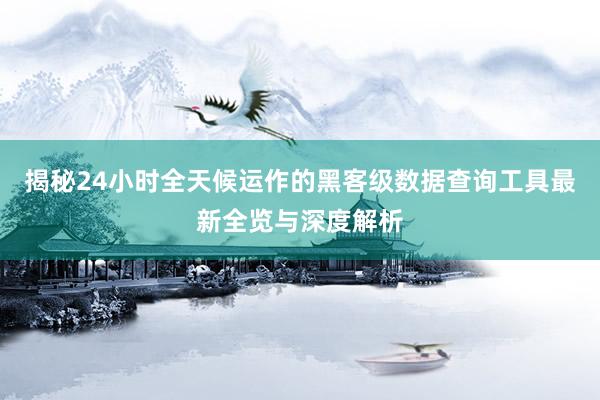 揭秘24小时全天候运作的黑客级数据查询工具最新全览与深度解析